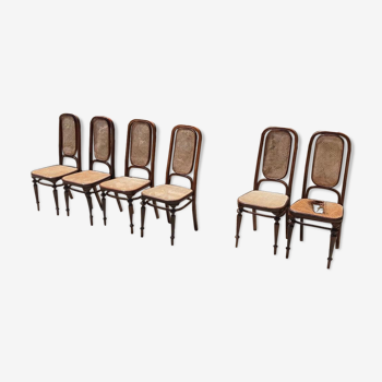 Chaises Thonet