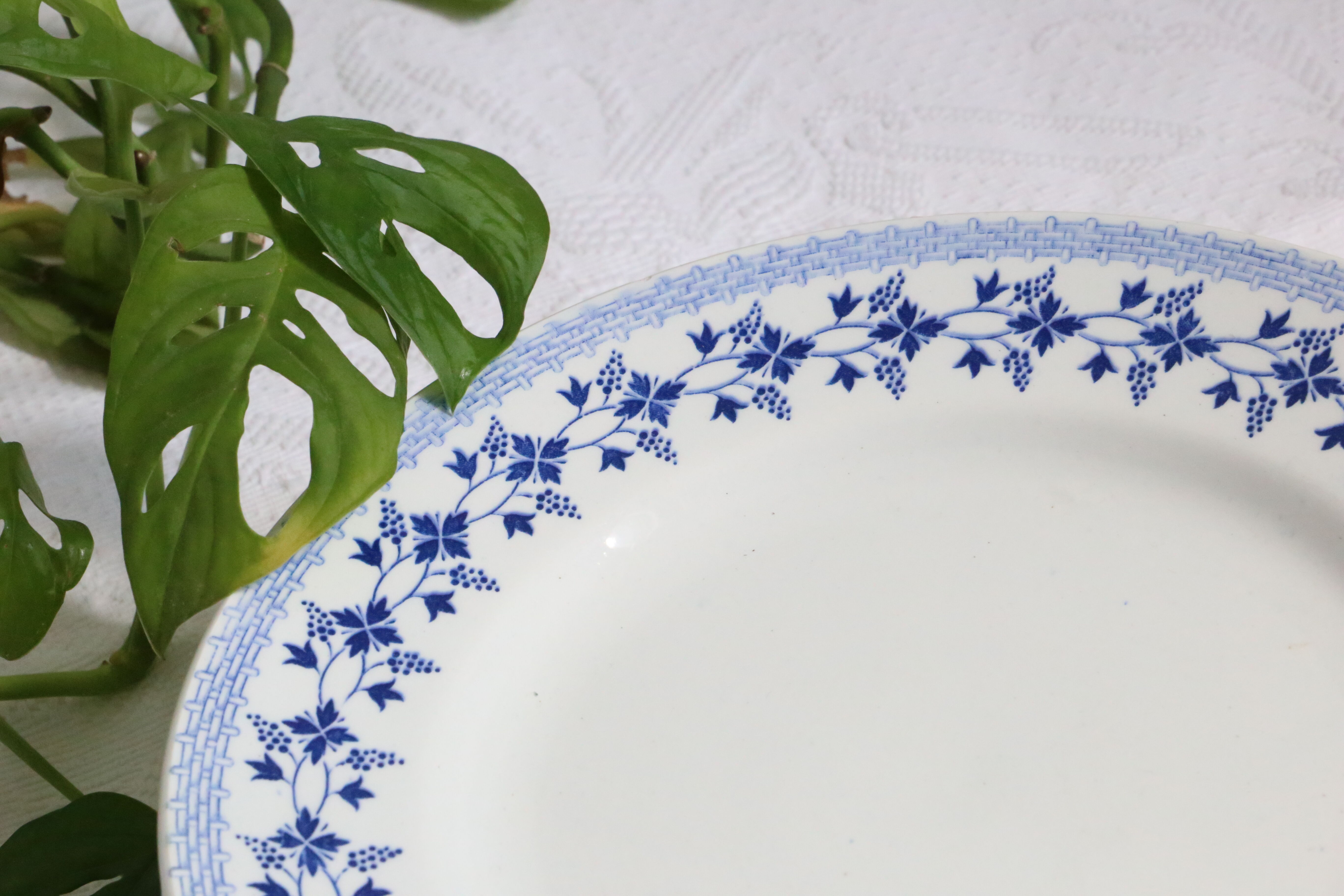 Ensemble de 9 assiettes plates, saint Amand, Bleuets, terre de fer
