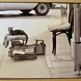 Photo of New York, Cat with rolling eyes in front of a shoe shine, 1960