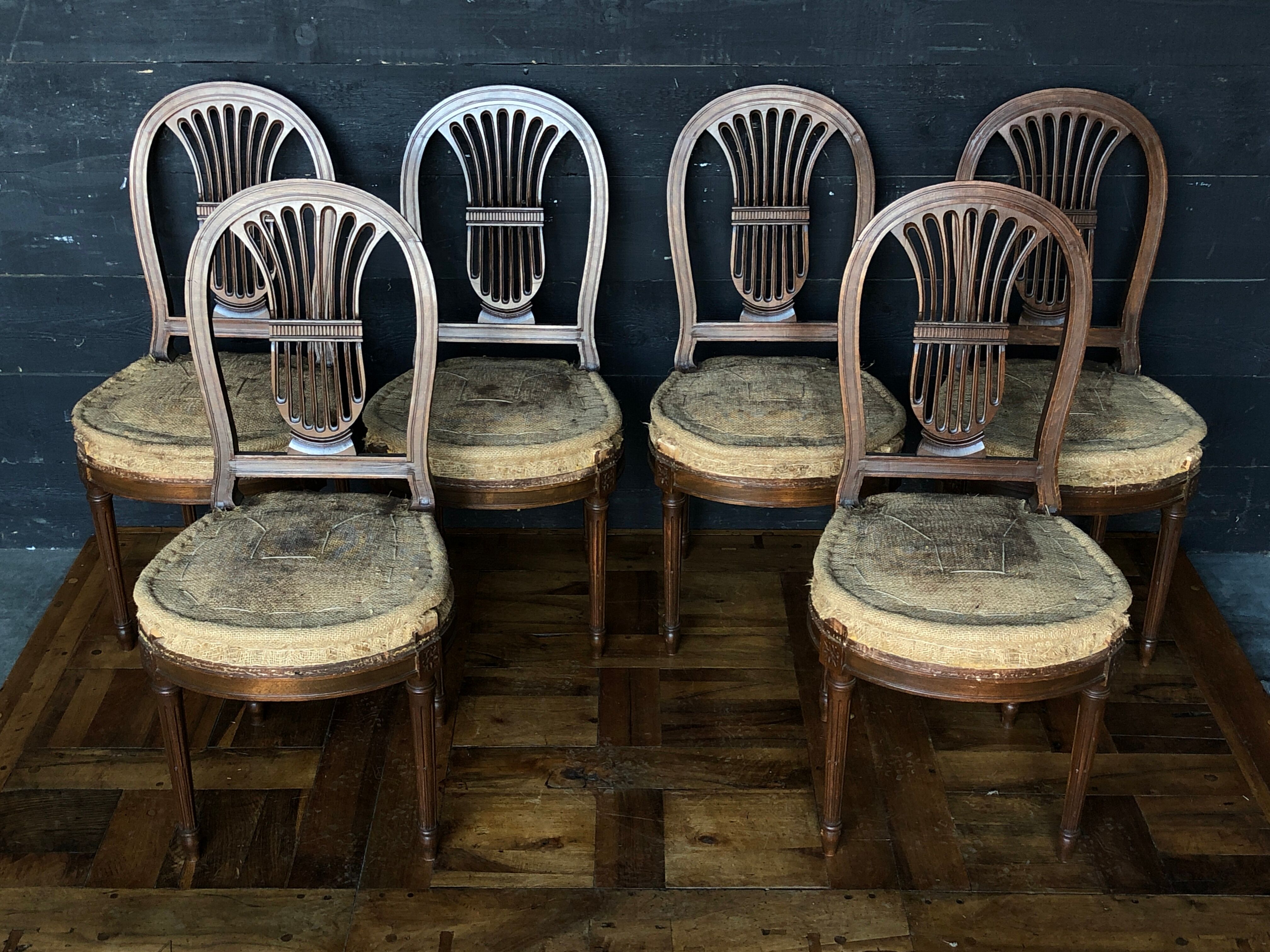 6 Louis XVI-style chairs