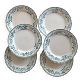 6 ironstone plates, Guadeloupe model