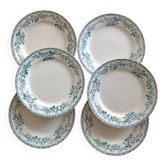 6 ironstone plates, Guadeloupe model