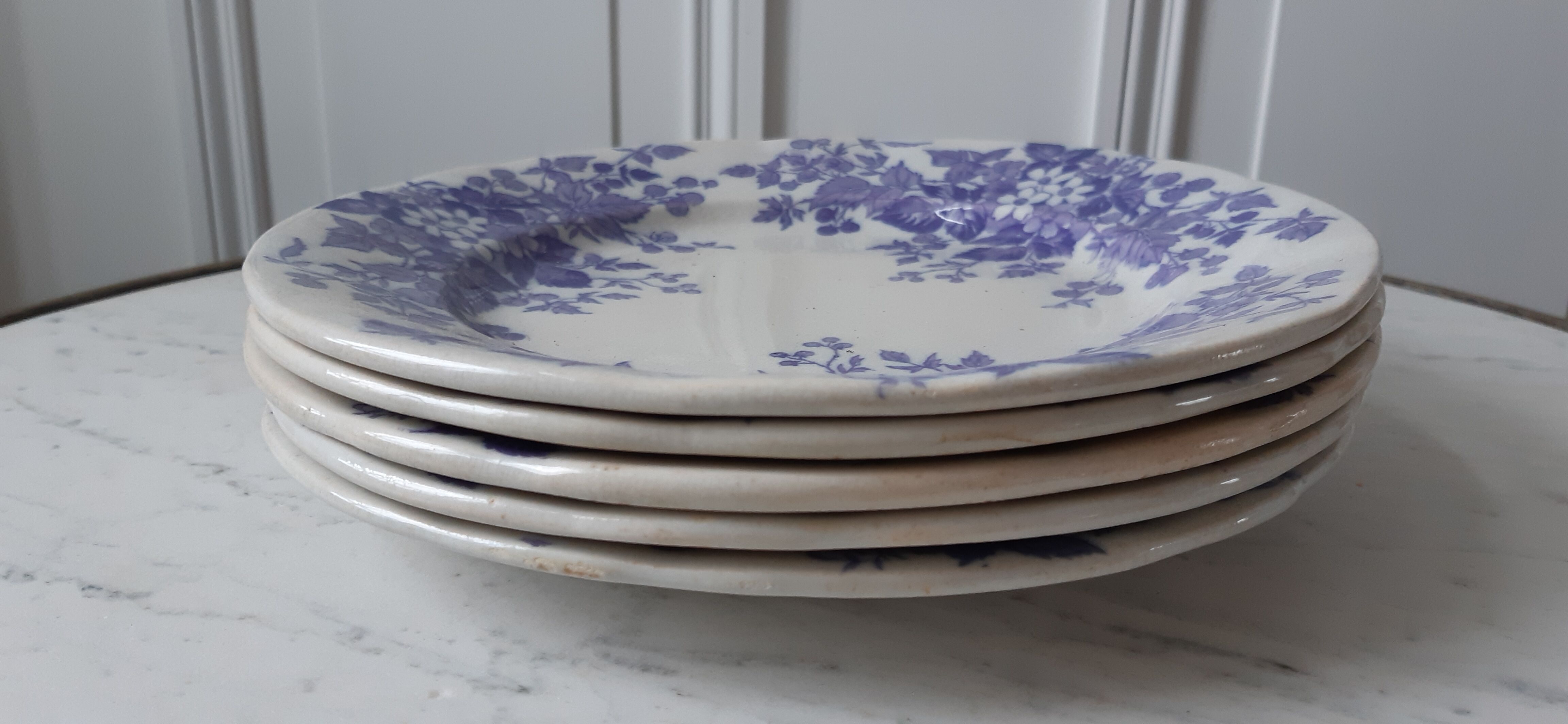 Lot de 5 assiettes plates Terre de Fer U&C Sarreguemines "Rubia" XIXème