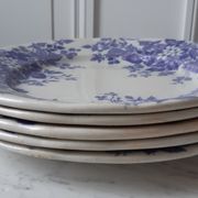 Set of 5 flat plates Terre de Fer U&C Sarreguemines "Rubia" XIXth