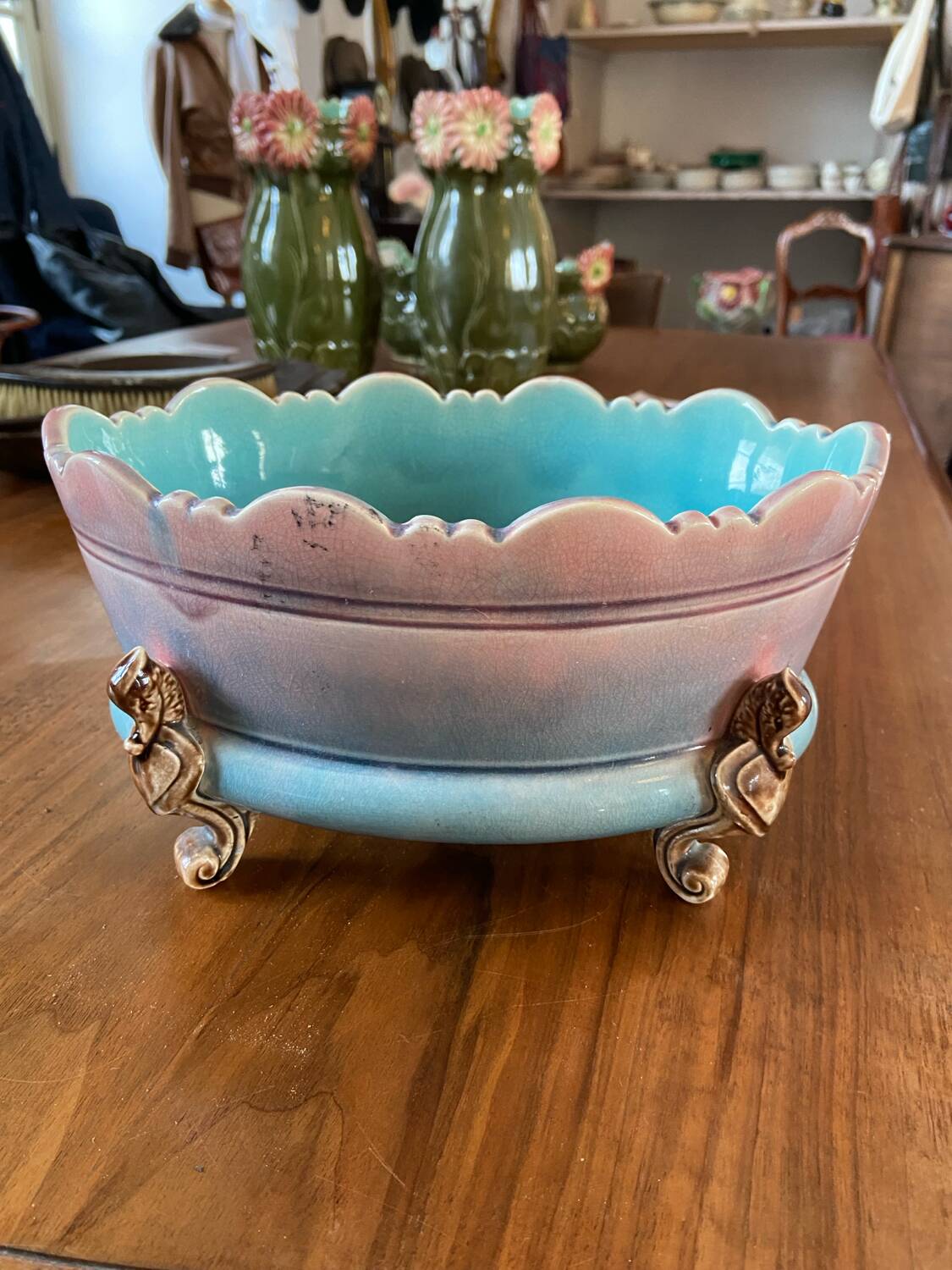 Gustave de Bruyn slip planter