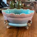 Gustave de Bruyn slip planter