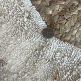 Ancient coral fungia