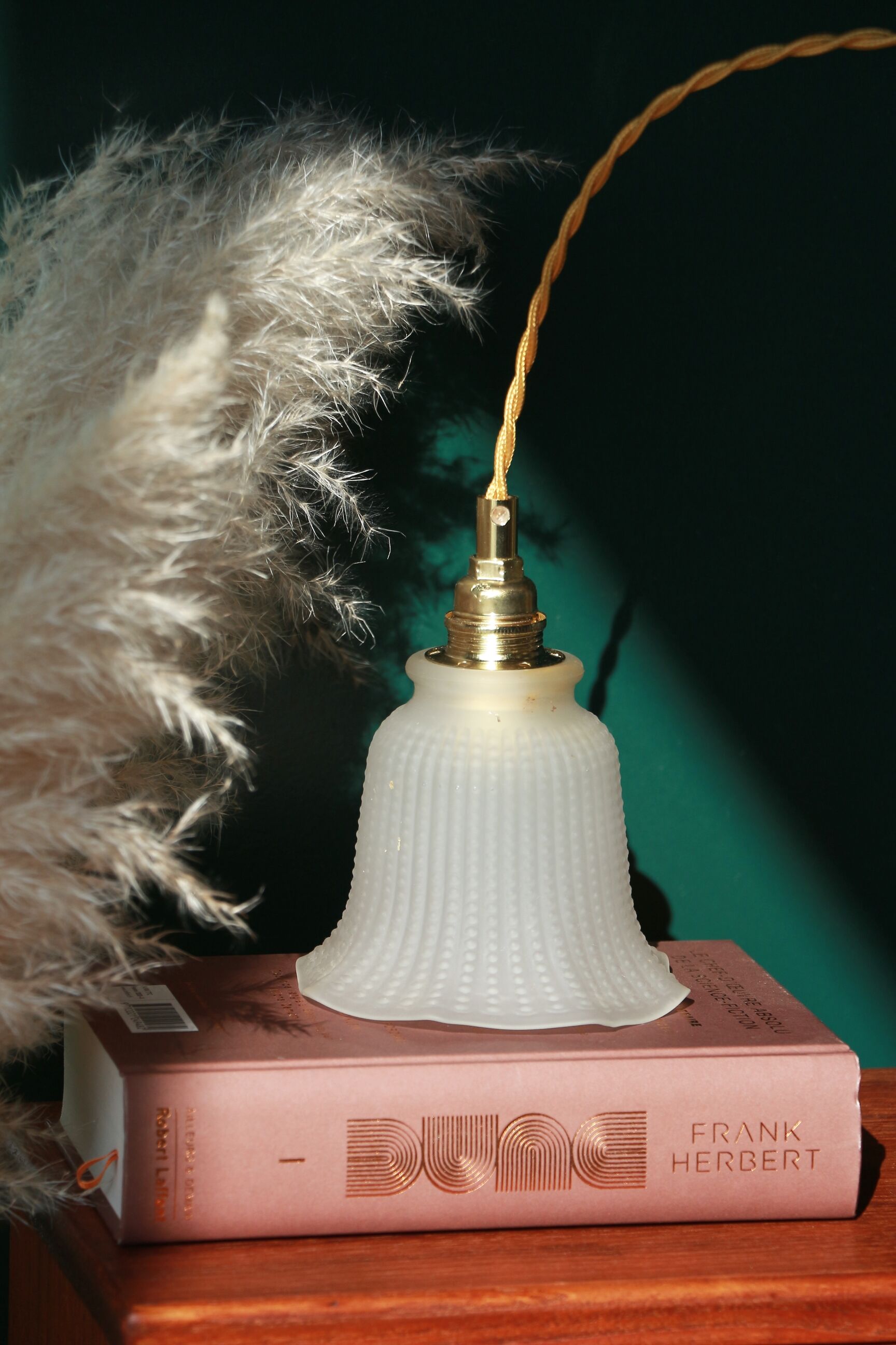 Walkman(s) - Dotted flowers