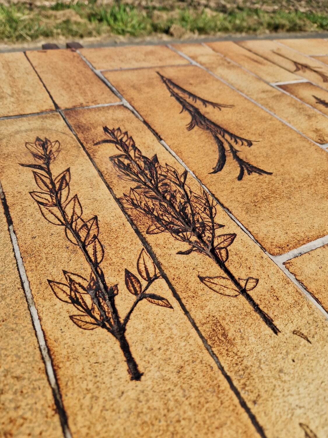 Vintage coffee table by Roger Capron, herbarium model