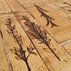 Vintage coffee table by Roger Capron, herbarium model