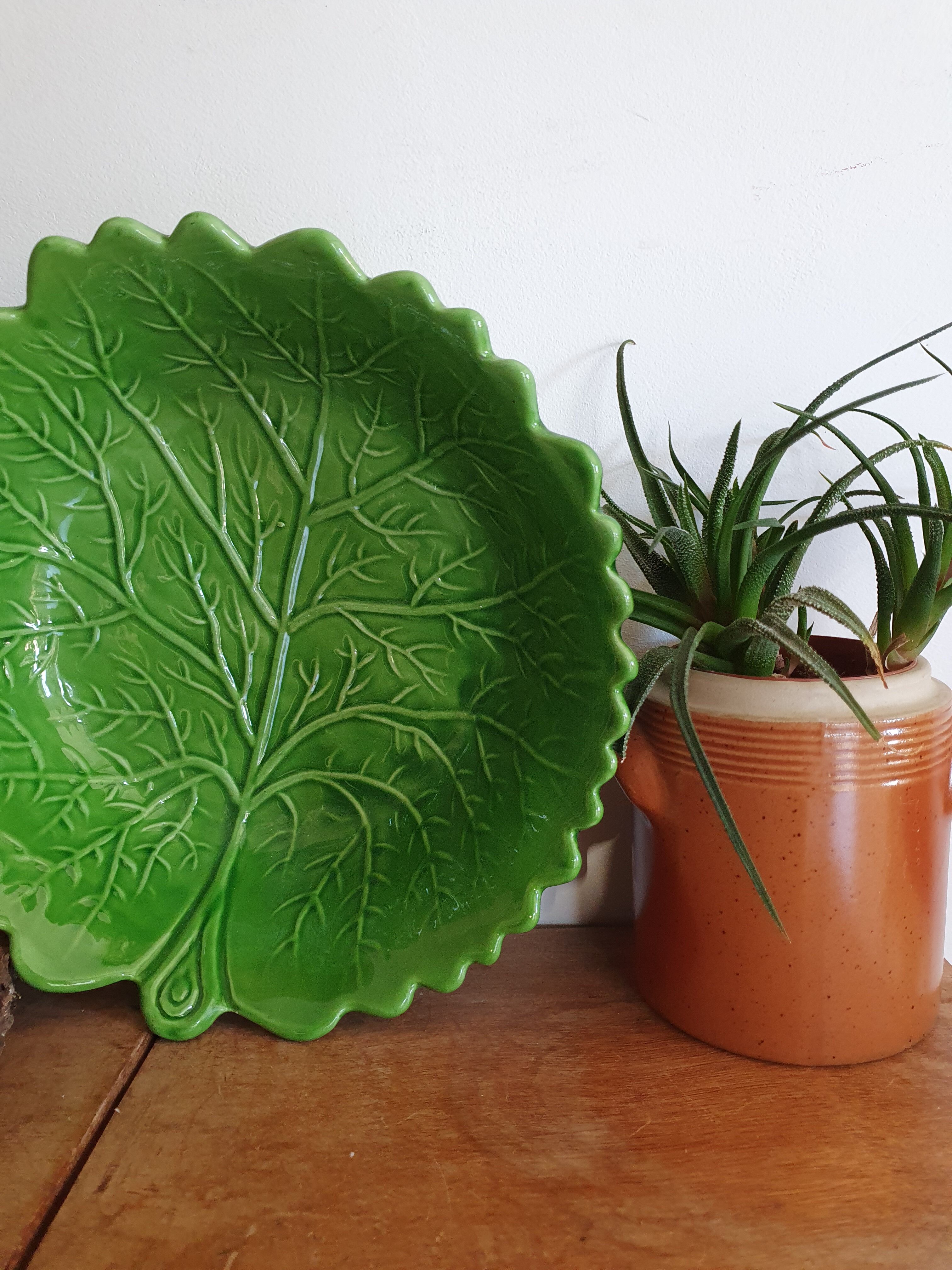 Salad bowl cabbage slurry