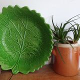 Salad bowl cabbage slurry