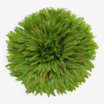 Juju hat vert olive de 50 cm