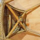 4 chaises en rotin