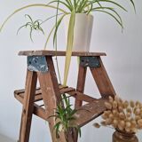 Montana painter's stepladder