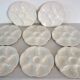 8 vintage Gien ceramic barbotine oyster plates