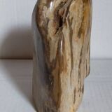 Free form sculpture in fossil wood