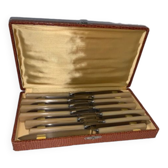 Coffret de 12 couteaux de table Inox