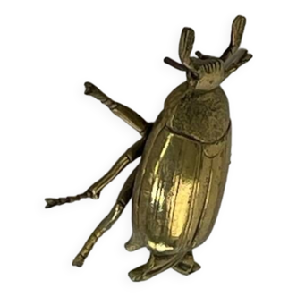 Brass beetle