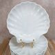 Set of 8 scallop shell plates