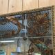 Large bistro mirror from the 1970s