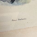 Ornithological print J.G. Keulemans "Picus Poelzami"