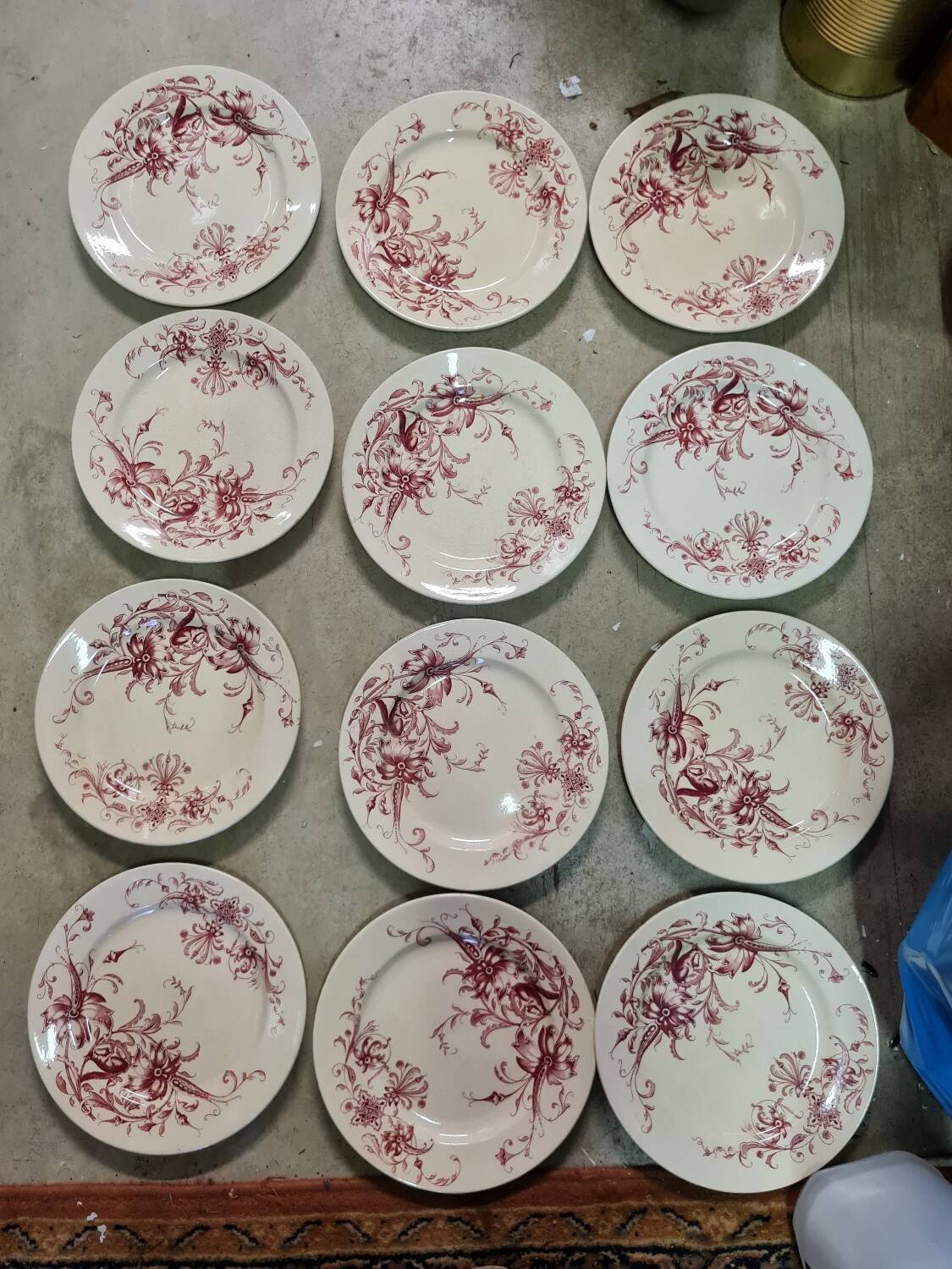 Samaritan Squirrel Service EC