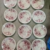 Samaritan Squirrel Service EC