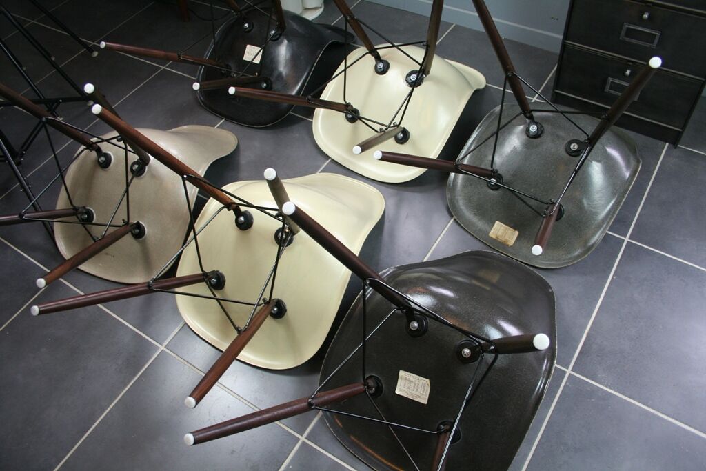 Lot de 6 chaises DSW Eames édition Herman Miller