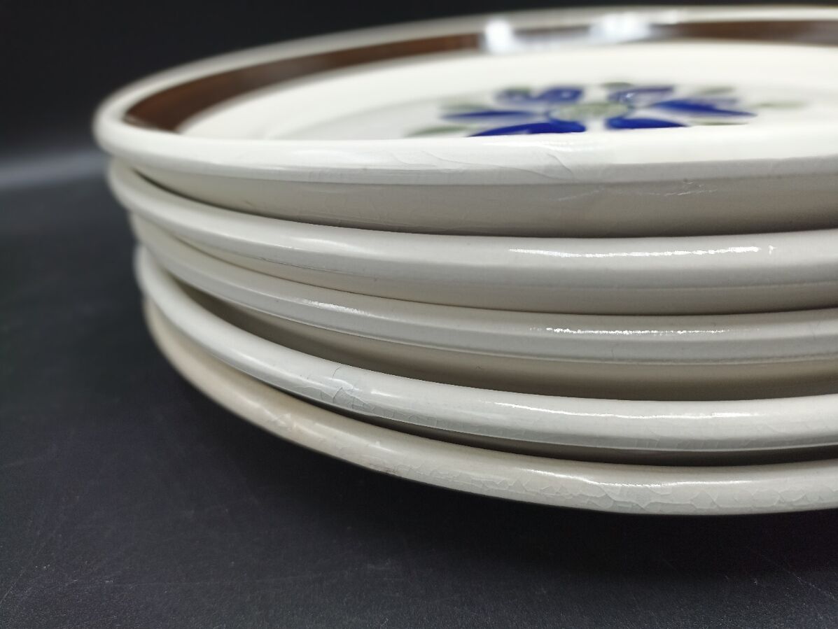 5 mismatched plates Digoin-Sarreguemines