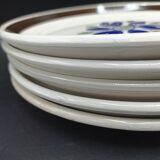 5 mismatched plates Digoin-Sarreguemines