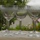 Set of 5 antique water glasses in engraved frieze glass.