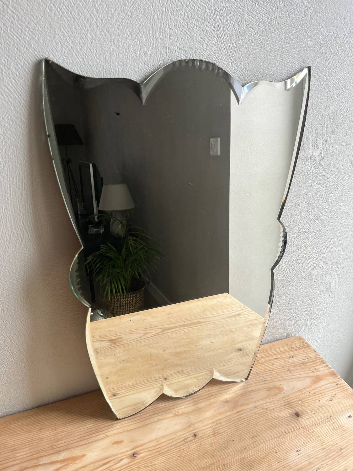 Set of 5 mirrors (Carmen)