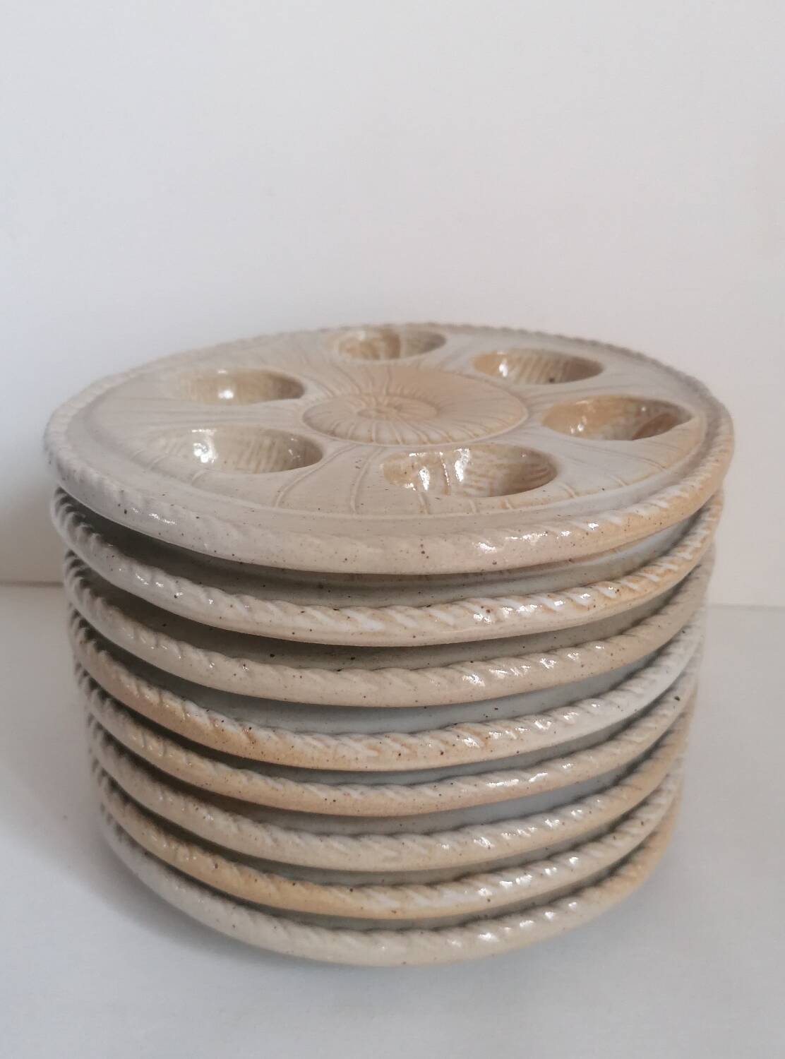 8 snail plates sandstone from the marsh France