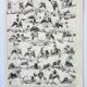 Old engraving 1898, Wrestling, combat sport, boxing • Lithograph, Original plate