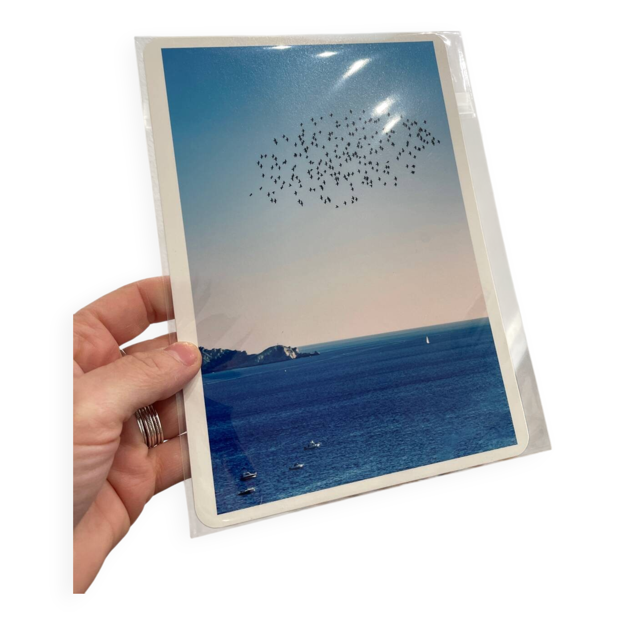 Photo Alice Ducheix - Gallery Zones