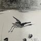 Carafe- Scenery of a lake landscape and a crane taking off