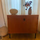 Vintage 2-door furniture