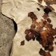 Vintage cowhide carpet 1970 2m30x1m90