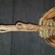Series of 7 copper saucepans for decoration.