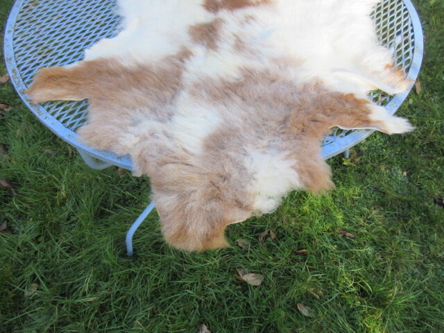 Sheepskin rug