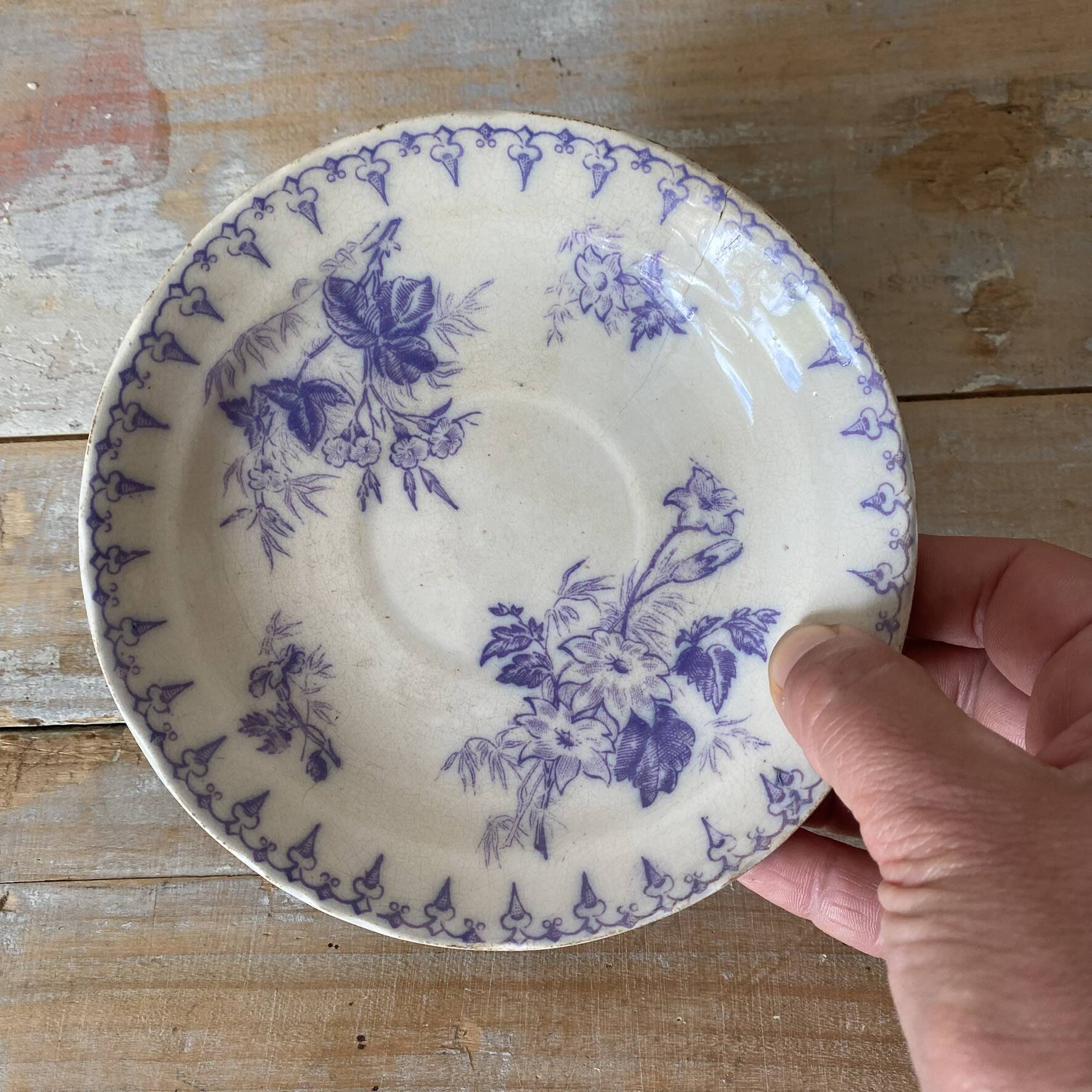 Assiettes en terre de fer décor Flore , coupelles  anciennes