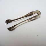 Antique metal sugar tongs in the shape of a lion's paw.