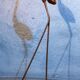 Rosewood statuette "Heron" 1960s