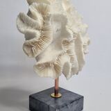Old white coral "méandrine" on marble base, 25 cm