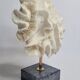 Old white coral "méandrine" on marble base, 25 cm