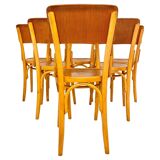 Mid Century Modern Dining Room Zebra Wood Chairs, set of six, Italy 1950s