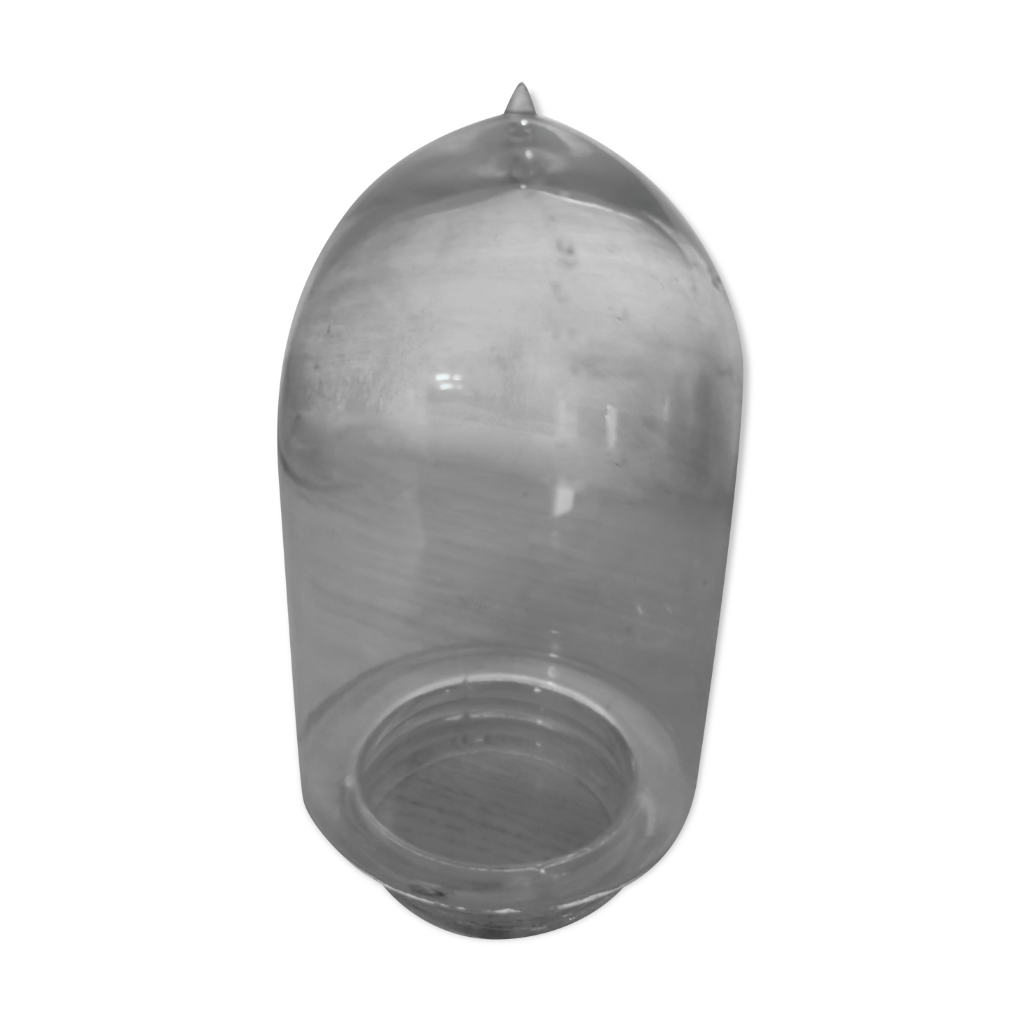 Globe glass shell with nipple lamp gooseneck farmyard