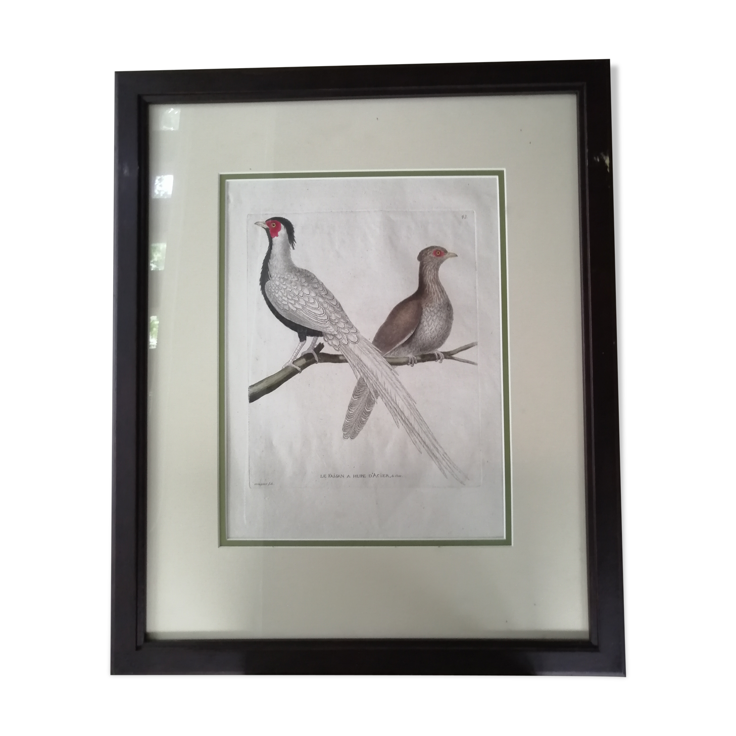 Framed ancient lithography by Martinet and Son