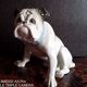 Gräfenthal - porcelain dog - H 12 cm